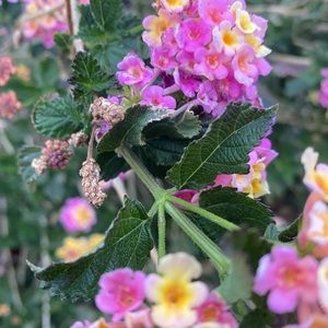 Meet your Posher, Ethan